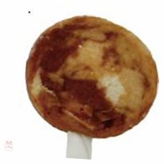 온지니아 개간식 캔디홀릭 10p 오리대구야채