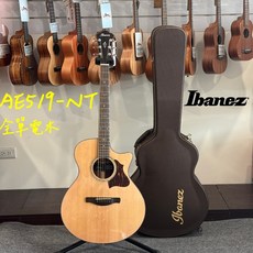 IBANEZ AE519 NT 全單板 電木吉他 附原廠硬盒 原廠配件, 1個
