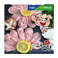 함평농협만나초록오감 항정살, 1개, 300g