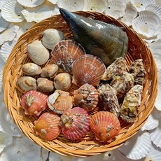 제철 모둠조개 커플세트 2.5kg