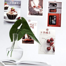 감성 엽서 인테리어 디자인 빈티지 엽서 포스터 벽장식 카드