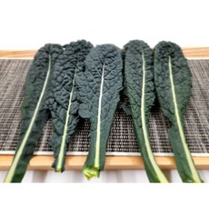 싱싱한 뉴그린 1kg 2kg (1.8~2kg) 박스 잎브로콜리 토스카노 중량별, 1개