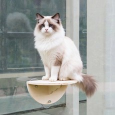 實木壁掛貓跳台 大吸盤免打孔 貓爬架 貓跳台 太空艙貓窩 貓床 寵物用品, 平台貓跳台, 1個