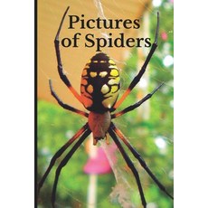 (영문도서) Pictures of Spiders: Funny White Elephant Secret Dirty Santa Gift (Stupid Gifts Ideas) Paperback, Independently Published, English, 9798845948823