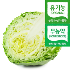 [농약안심최상품] 해독채소 아삭달큰 친환경 양배추, 1박스, 1kg