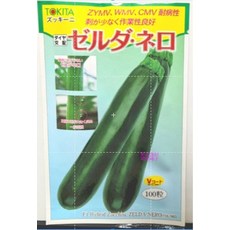 【野菜部屋】TOKiTA 刺少作業性良好 zelda nero F1 Hybrid Zucchini 種子 100粒 V-COAT, 1包