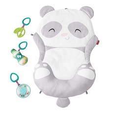 (fisher price) [0 ~] 피셔 프라이스 아기 체육관 감각을 키우자 팬더 플레이