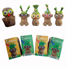 잔디 머리 인형 키우기 키트 미니 토피어리 화분 물주면 자라는 반려 식물 꾸미기, 1개