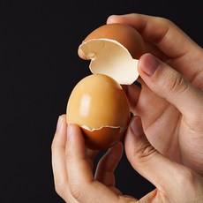 삼초계란 파손보상 프리미엄 촉촉한 구운계란, 1개, 60구