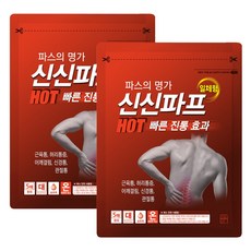 신신파프(일체형) 핫 쿨 파스, 2개, 5개입