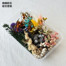 批發雲南榼藤豆莢玩偶掛件手工平安豆掛飾吊墜標本擺件, 1個, 隨機乾花 組合套裝-1盒(不含豆莢):1個