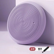 피트니스 홈트 밸런스쿠션 요가 밸런스 패드, 자주색