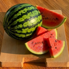 [품질인증] 고당도 하우스 수박, 1개, 고당도)) 5KG내외 (품절임박)