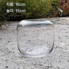 워터플랜트 유리어항 팔루다리움 테라리움 투명 수조 수경재배 화병, A.투명