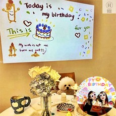 빔프로젝터 벽면연출 생일빔 필름칩 홈파티용 프로젝터 분위기 연출, 본품X 40달
