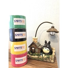 ATEX SPORTS TEX 韓國製 精緻肌貼 運動貼布 肌貼 5色 - 運動狂人適用, 1個, 不挑色 不附紙盒 內容物完整
