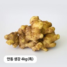 [안동농협] 25년 국내산 안동 흙생강, 1개, 4kg