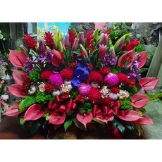 福德正神台北市花店 敬神拜拜還願盆花/生日/派對/畫展/開幕開市/榮升榮調/喬遷/會員大會/競選總部成立, 1個