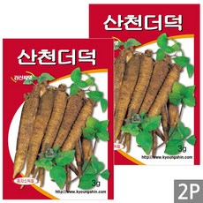 세인화분 국산 산천 더덕 3g - 씨 씨앗 더덕씨 더덕씨앗, 2개