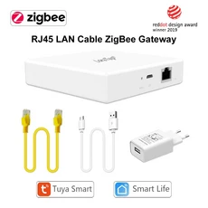 LoraTap Tuya ZigBee 3.0 관형 모터 용 EU 이중 커튼 스위치 Google 홈 Alexa 음성 제어 DIY와 함께 작동