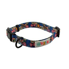 OVZLA Everyday 에센셜 칼라 (스몰)