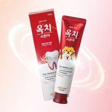 애니띵 대용량 시린 치아 전용 치약 고함량 치료 예방 보호 인산삼칼슘 19% 함유, 2팩