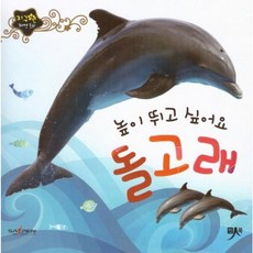 높이 뛰고 싶어요 돌고래, 인북, 편집부 저, 지구별 자연동화, 없음null