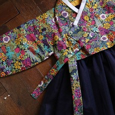 Lsh 公主禮服 女童韓服 套裝