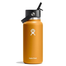 하이드로 플라스크 와이드 플렉스 스트로캡 보틀 710ml 듀 블루_183098, 946.4ml(32온스), 화석_183098