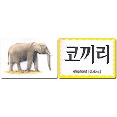 플래시 한글카드 : 하나님이 주신 동물 열매, 모퉁이돌