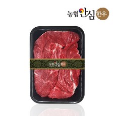 [농협안심한우] 1+등급 한우사태 600g / 한우양지 600g / 한우장조림 600g [ 택 1 ], 1개, 1+한우사태
