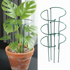 두두타운 원형 스틸 식물지지대 40cm, 6개