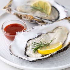 통영산 삼배체 굴 산지직송 생굴 탱글한 육질 풍부한 감칠맛 깔끔한 풍미, 1박스, 삼배체 굴 3kg