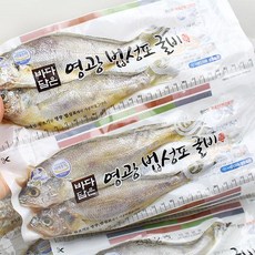 법성정 진공포장굴비3호(20미)20~21cm(1.75kg내외), 1.75kg내외(20미), 1박스
