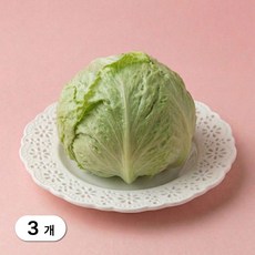 [가든엔] 국내산 알뜰 양상추 손질 개별포장, 3개, 250g