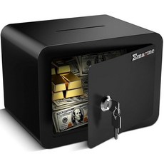 금고 현금 문서용 가정 안전 보안 상자 디지털 전자 키패드 및 탈착식 선반이 있는 가정용 소형 금고 (0.23입방 피트) 핑크)