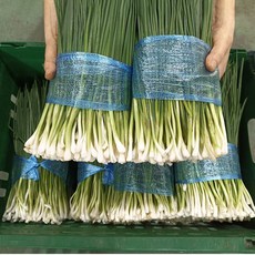 [윤가네세자매] 국내산 깐 쪽파 1단, 1kg, 1개