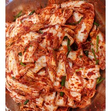 고향의 맛! (엄니손맛) 전라도 알배기배추겉절이 (겉절이 맛집인정), 1kg, 1개