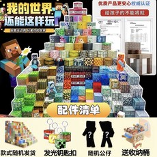 MC 我的世界 積木兒童方塊磁力積木 益智拼搭方塊積木, 1個, 【正品-6.0新款世界MC強磁方塊】,鐵：202塊-10武器人圖冊收納桶發光扣
