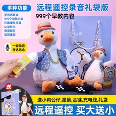 말따라하는 오리 인형 장난감 어린이 움직이는 녹음 말하는 선인장 녹음기능 따라쟁이, 정품 라이센스 수납 플러스 구입 선물, 5. usb 충전식 오리 + 원격녹음, 1개