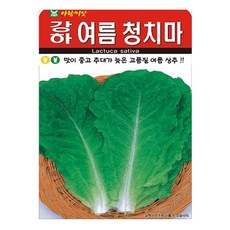 아람종묘 강하 여름청치마 상추 씨앗 2000p, 1개