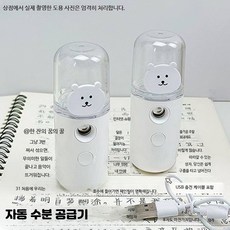 미스트기 나노 스프레이 얼굴 보습 수분공급기 휴대용 미니 각질제거 가정용 피부관리, 자기조롱 곰 분무기 1개, 단일 모델