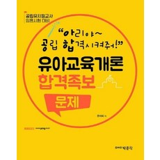아공합의 유아교육개론 합격족보 문제:공립 유치원 교사 임용시험 대비, 박문각