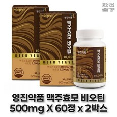 영진약품 맥주효모 비오틴 10000, 60정, 2개