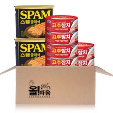 올따옴햄참치기획 스팸클래식340g 2+사조고추참치100g 6, 1세트, 100g