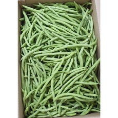 (차씨네숍)국내산 생그린빈 생 그린빈스 껍질콩 콩깍지 생그린빈1kg, 1개