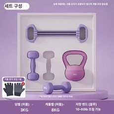 리온 아령3kg 홈트레이닝 근력운동 운동 여성 근력 필라테스, 6kg-18kg, 1g, 8kg 퍼플 3kg 퍼플