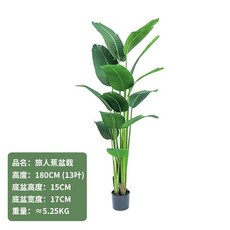 仿真盆栽 輕奢風綠植 仿真旅人蕉 75cm家居擺件安全, 旅人蕉C款180cm, 1個