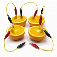 2과일 기준실험 아리랑 과일전지키트 - LED 타입