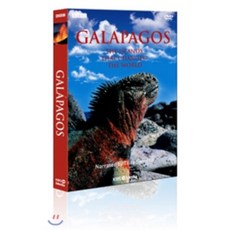 [DVD] 갈라파고스 : BBC다큐